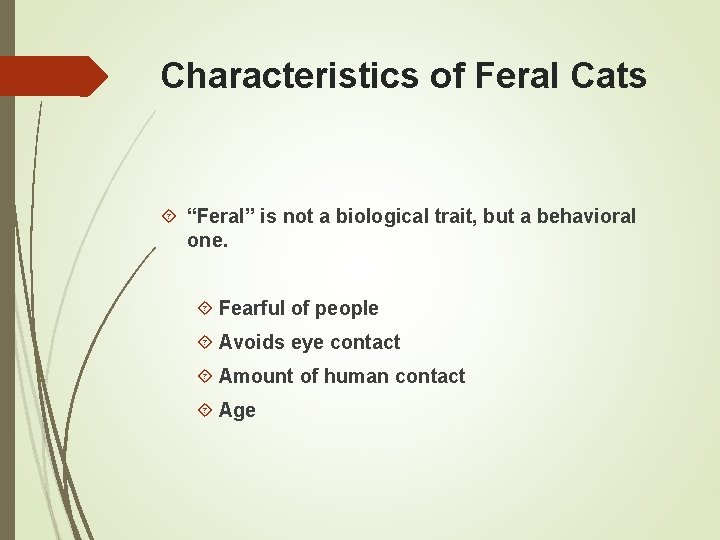 Characteristics of Feral Cats “Feral” is not a biological trait, but a behavioral one.