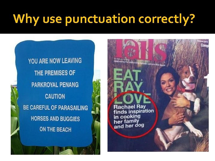 Why use punctuation correctly? Why use punctuation correctly?