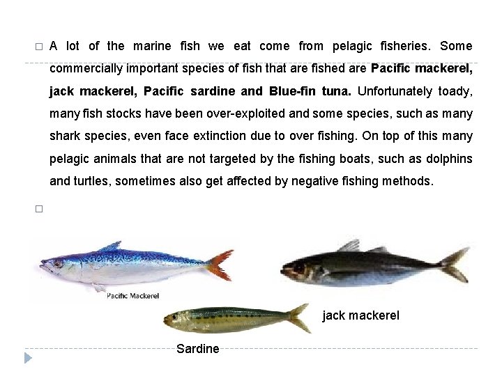 � A lot of the marine fish we eat come from pelagic fisheries. Some