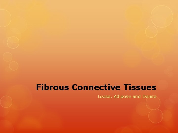 Fibrous Connective Tissues Loose, Adipose and Dense 