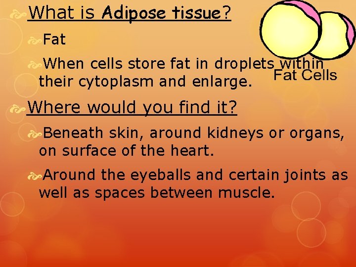  What is Adipose tissue? Fat When cells store fat in droplets within their