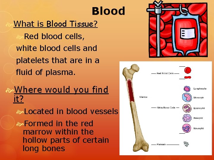 Blood What is Blood Tissue? Red blood cells, white blood cells and platelets that