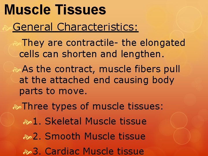 Muscle Tissues General Characteristics: They are contractile- the elongated cells can shorten and lengthen. Muscle Tissues General Characteristics: They are contractile- the elongated cells can shorten and lengthen.