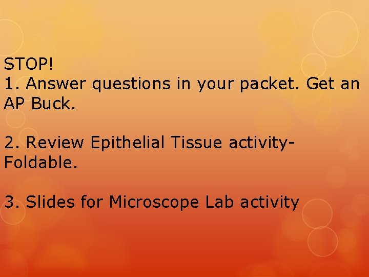 STOP! 1. Answer questions in your packet. Get an AP Buck. 2. Review Epithelial