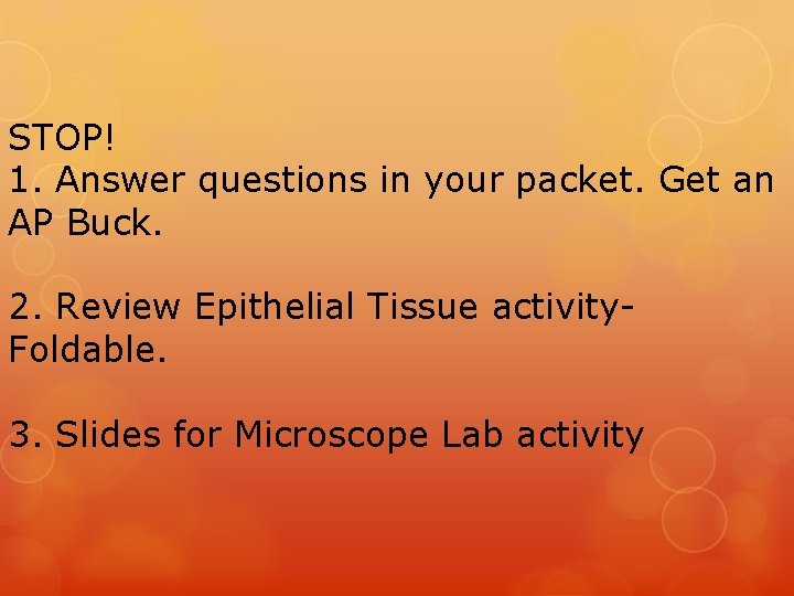 STOP! 1. Answer questions in your packet. Get an AP Buck. 2. Review Epithelial STOP! 1. Answer questions in your packet. Get an AP Buck. 2. Review Epithelial