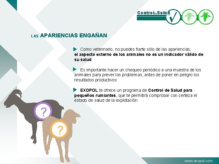 Controlde. Salud LAS APARIENCIAS ENGAÑAN Como veterinario, no puedes fiarte sólo de las apariencias;