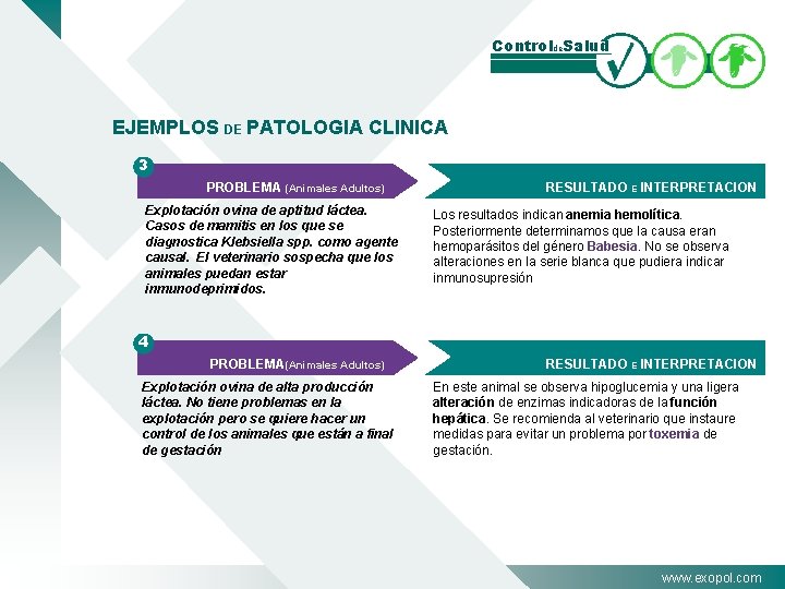 Controlde. Salud EJEMPLOS DE PATOLOGIA CLINICA 3 PROBLEMA (Animales Adultos) Explotación ovina de aptitud