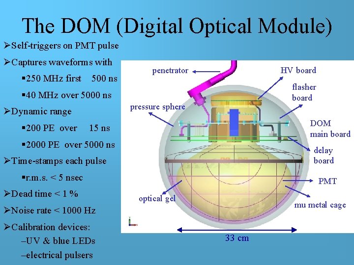 The DOM (Digital Optical Module) ØSelf-triggers on PMT pulse ØCaptures waveforms with § 250 The DOM (Digital Optical Module) ØSelf-triggers on PMT pulse ØCaptures waveforms with § 250