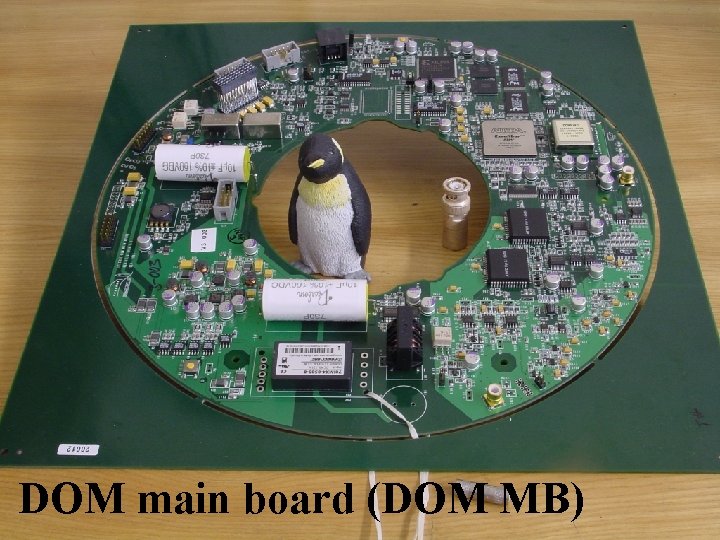 DOM main board (DOM MB) DOM main board (DOM MB)