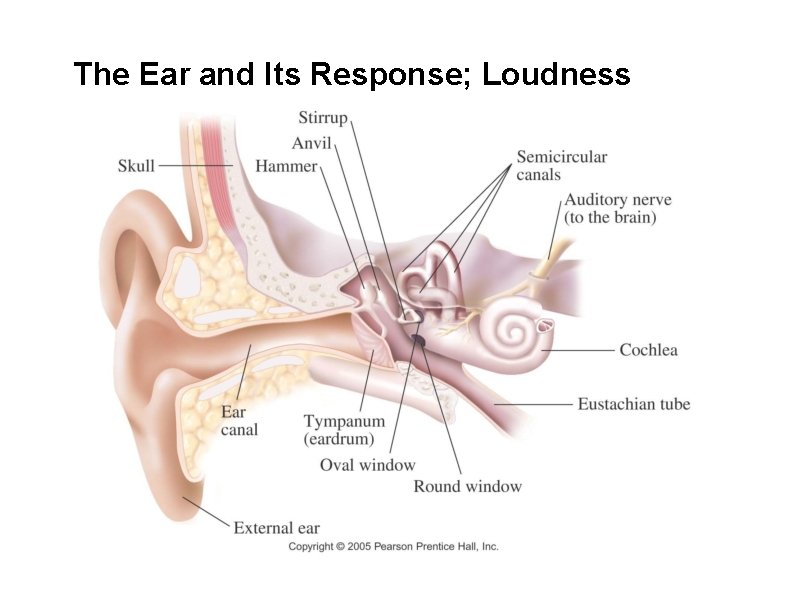 The Ear and Its Response; Loudness 