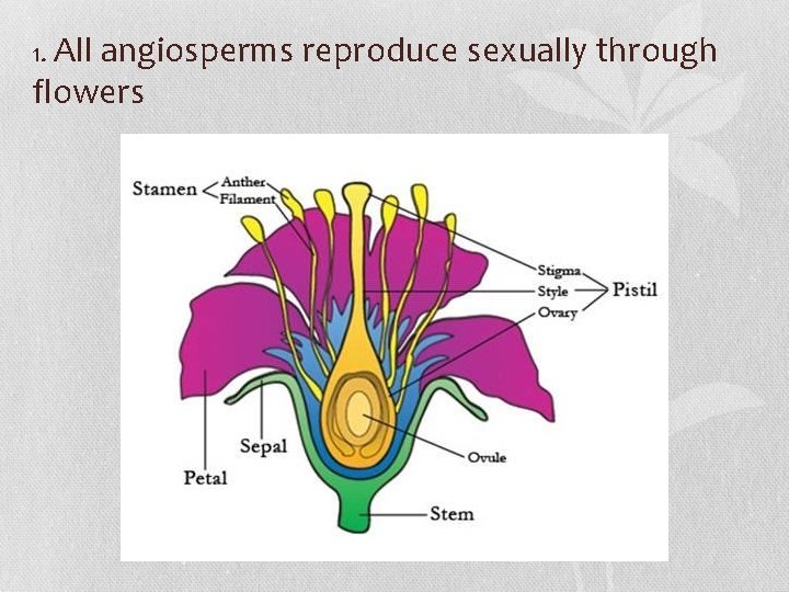 1. All angiosperms reproduce sexually through flowers 