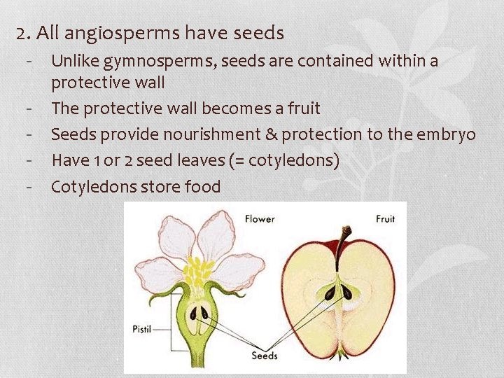 2. All angiosperms have seeds - Unlike gymnosperms, seeds are contained within a protective