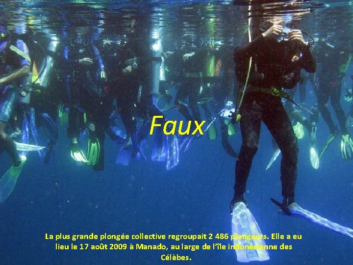 Faux La plus grande plongée collective regroupait 2 486 plongeurs. Elle a eu lieu