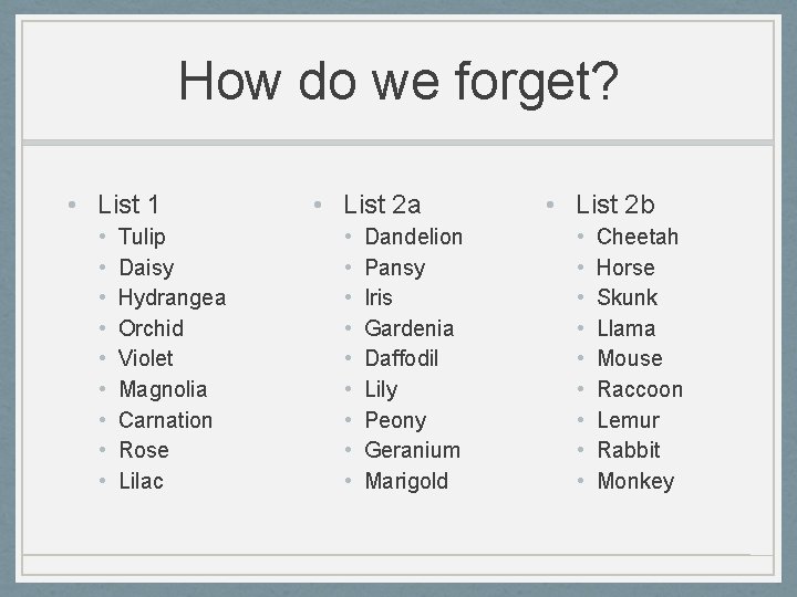 How do we forget? • List 1 • • • Tulip Daisy Hydrangea Orchid