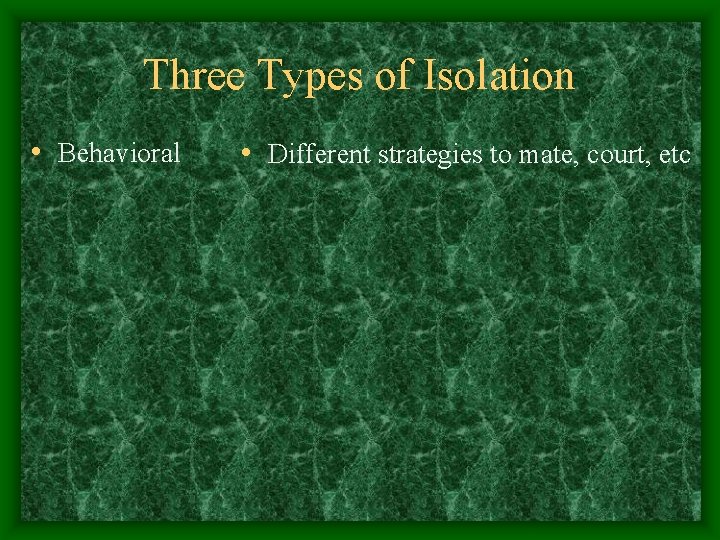 Three Types of Isolation • Behavioral • Different strategies to mate, court, etc 