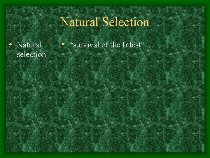 Natural Selection • Natural selection • “survival of the fittest” 