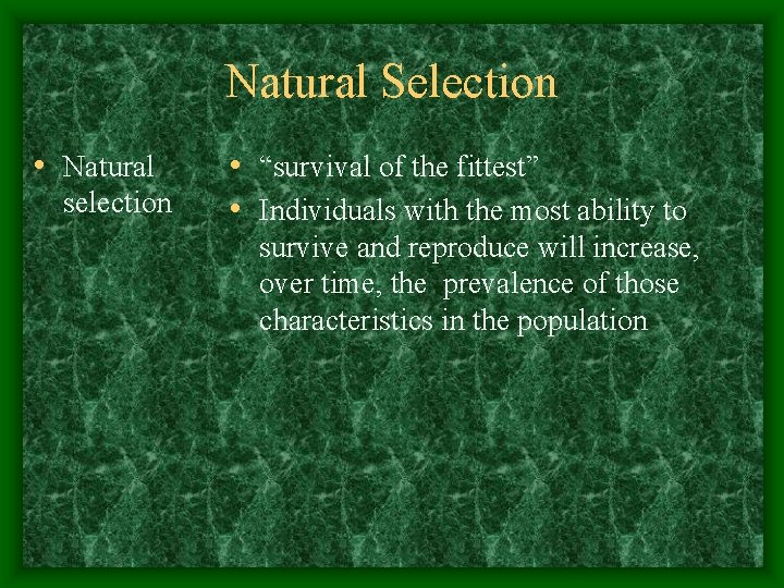 Natural Selection • Natural selection • “survival of the fittest” • Individuals with the