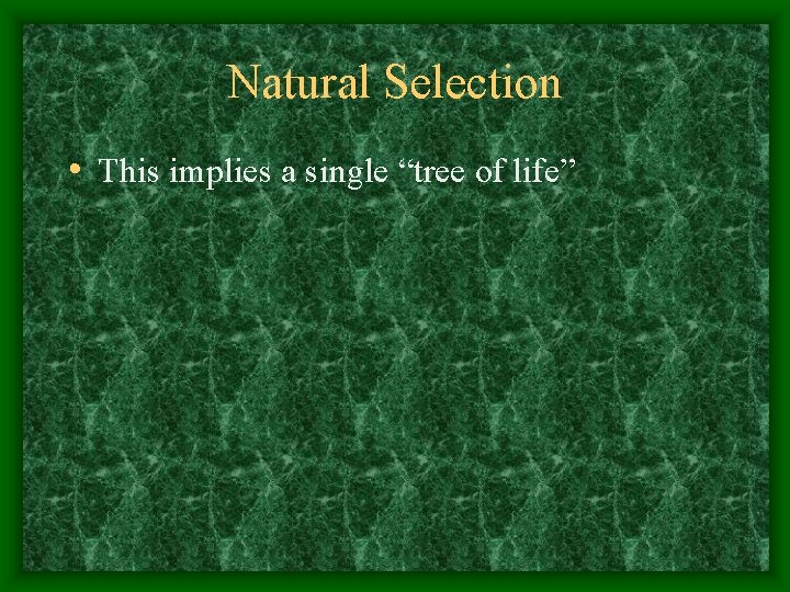 Natural Selection • This implies a single “tree of life” 