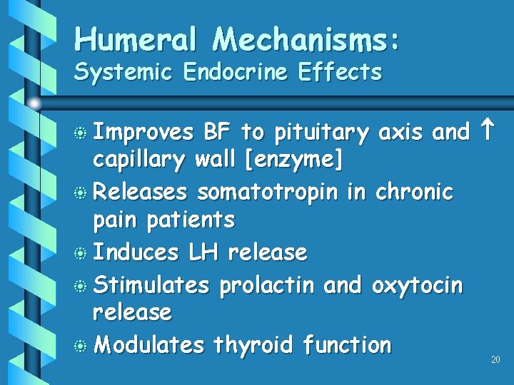 Humeral Mechanisms: Systemic Endocrine Effects b Improves BF to pituitary axis and capillary wall Humeral Mechanisms: Systemic Endocrine Effects b Improves BF to pituitary axis and capillary wall