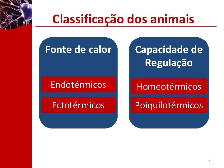 Classificação dos animais Fonte de calor Capacidade de Regulação Endotérmicos Homeotérmicos Ectotérmicos Poiquilotérmicos 7