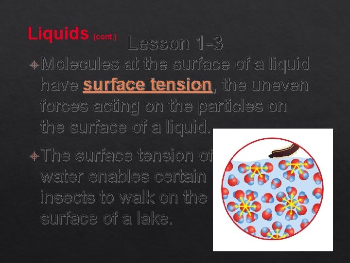 Liquids (cont. ) Molecules Lesson 1 -3 at the surface of a liquid have