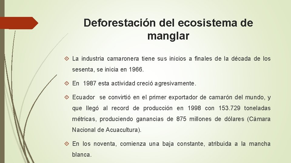 Deforestación del ecosistema de manglar La industria camaronera tiene sus inicios a finales de