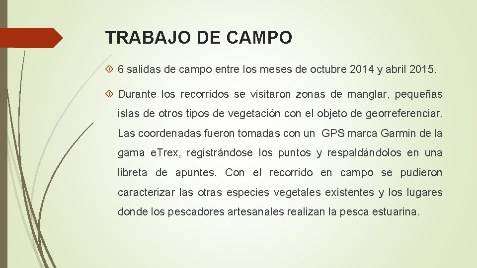 TRABAJO DE CAMPO 6 salidas de campo entre los meses de octubre 2014 y