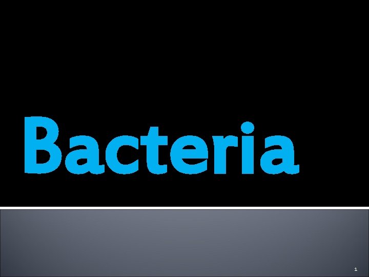 Bacteria 1 