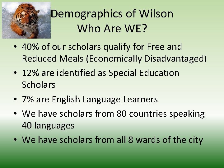 Demographics of Wilson Who Are WE? • 40% of our scholars qualify for Free