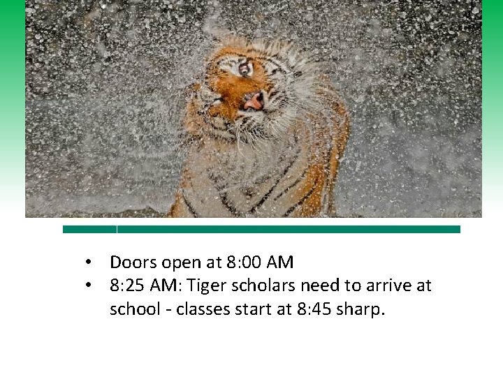  • Doors open at 8: 00 AM • 8: 25 AM: Tiger scholars
