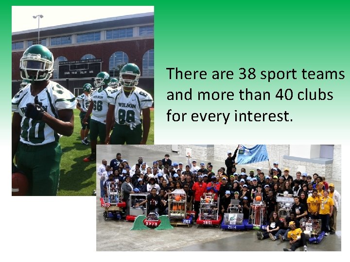 There are 38 sport teams and more than 40 clubs for every interest. 