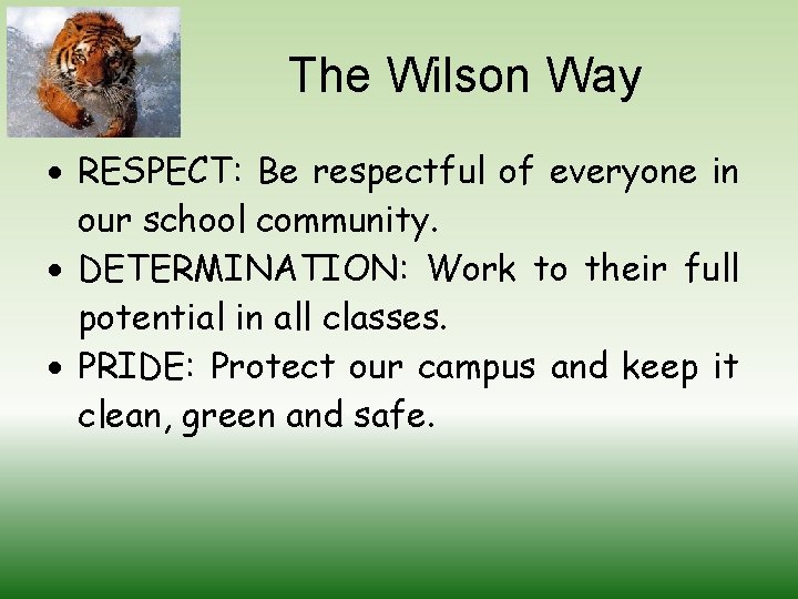 The Wilson Way RESPECT: Be respectful of everyone in our school community. DETERMINATION: Work