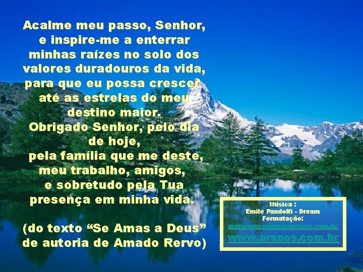 Acalme meu passo, Senhor, e inspire-me a enterrar minhas raízes no solo dos valores