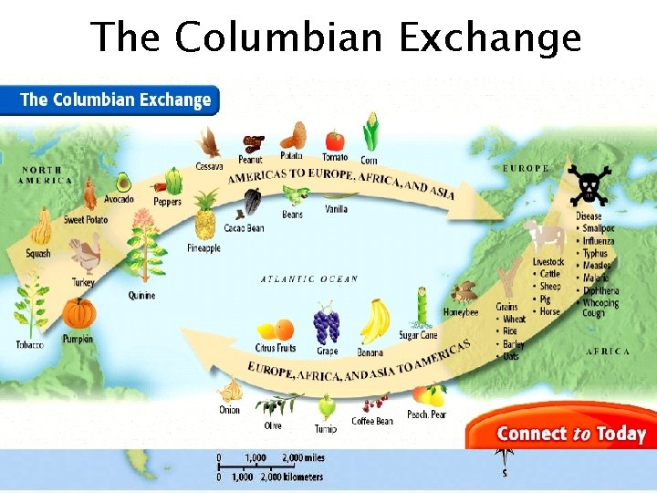 The Columbian Exchange 