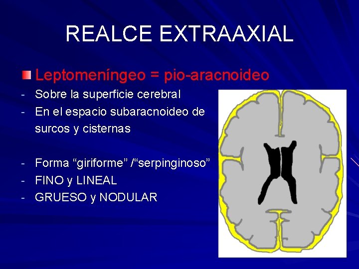 REALCE EXTRAAXIAL Leptomeníngeo = pio-aracnoideo - Sobre la superficie cerebral - En el espacio REALCE EXTRAAXIAL Leptomeníngeo = pio-aracnoideo - Sobre la superficie cerebral - En el espacio