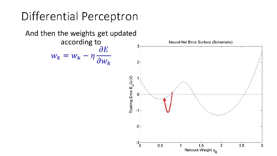 Differential Perceptron • Differential Perceptron •