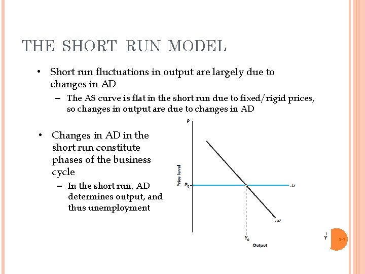 THE SHORT RUN MODEL • Short run fluctuations in output are largely due to