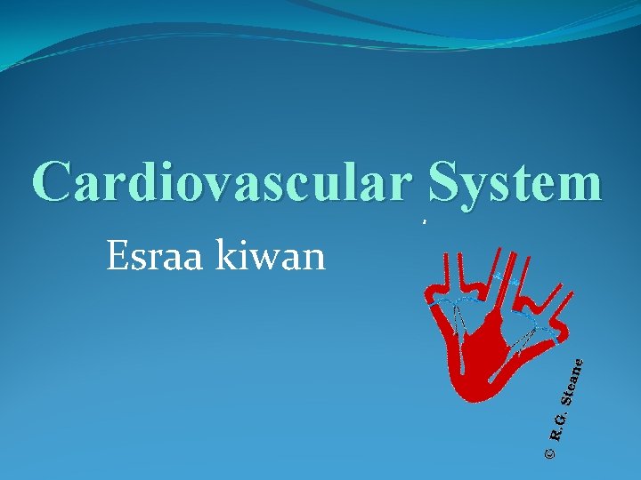 Cardiovascular System Esraa kiwan 