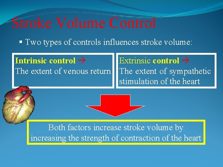 Stroke Volume Control Two types of controls influences stroke volume: Extrinsic control Intrinsic control
