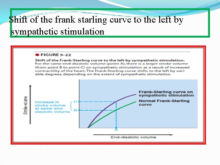 Shift of the frank starling curve to the left by sympathetic stimulation 