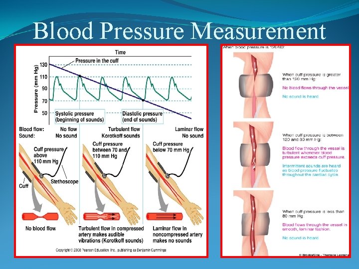 Blood Pressure Measurement 