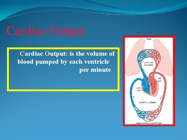 Cardiac Output: is the volume of blood pumped by each ventricle per minute 