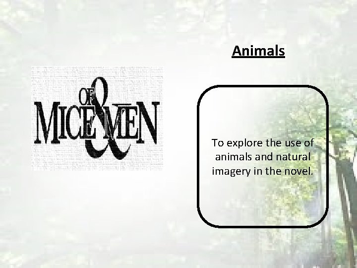 Animals To explore the use of animals and natural imagery in the novel. 