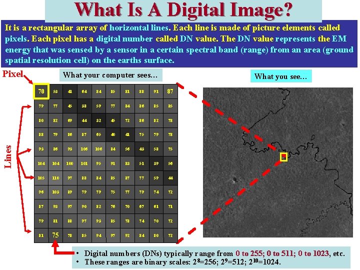 What Is A Digital Image? It is a rectangular array of horizontal lines. Each