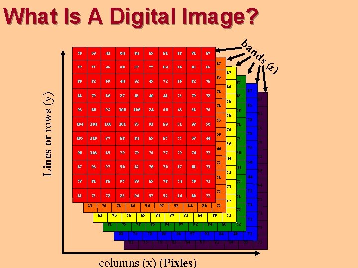 What Is A Digital Image? 70 53 41 64 84 85 81 88 91