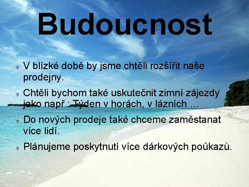 Budoucnost V blízké době by jsme chtěli rozšířit naše prodejny. Chtěli bychom také uskutečnit