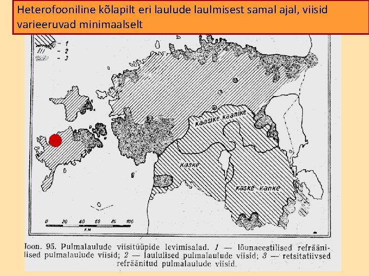 Heterofooniline kõlapilt eri laulude laulmisest samal ajal, viisid varieeruvad minimaalselt 