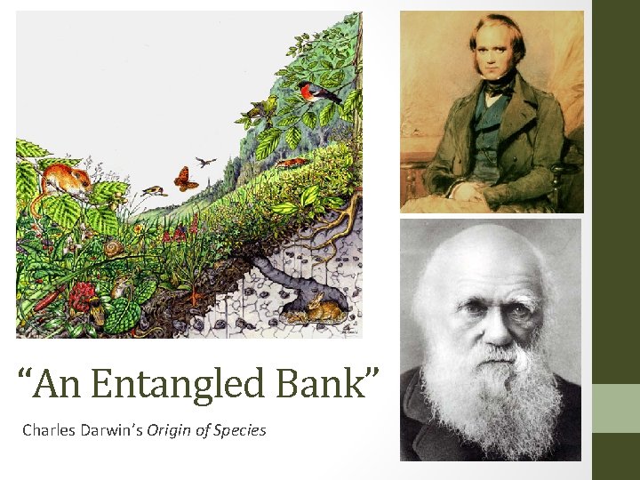 “An Entangled Bank” Charles Darwin’s Origin of Species 