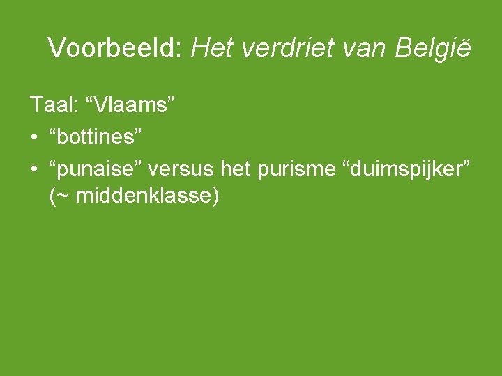 Voorbeeld: Het verdriet van België Taal: “Vlaams” • “bottines” • “punaise” versus het purisme