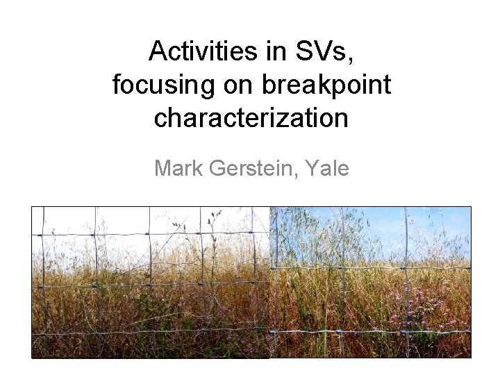 Activities in SVs, focusing on breakpoint characterization Mark Gerstein, Yale 